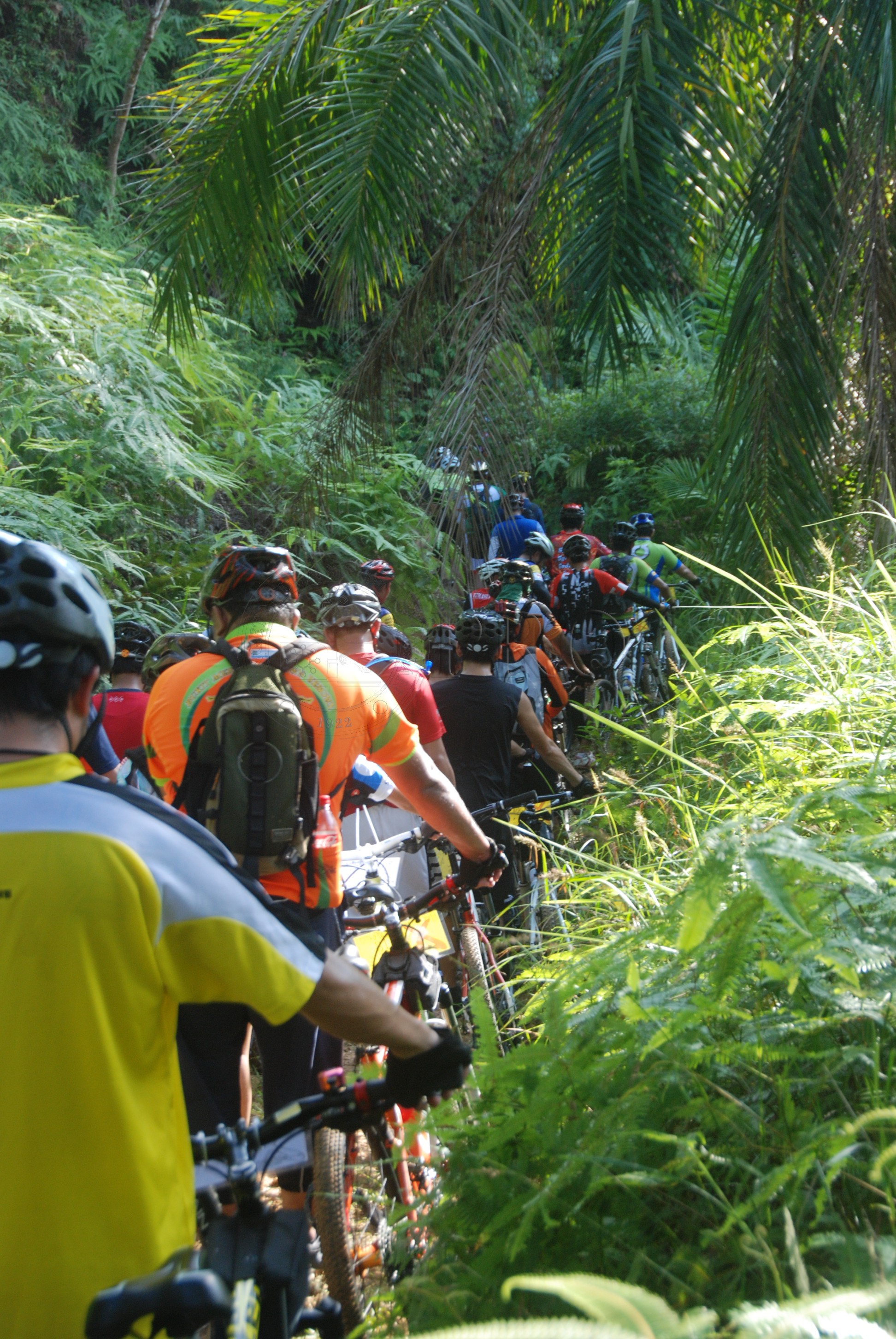 BPKK 12 145 jamboree DSC 1165